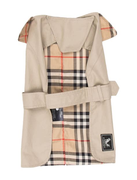 burberry for dogs|Burberry raincoat for dogs.